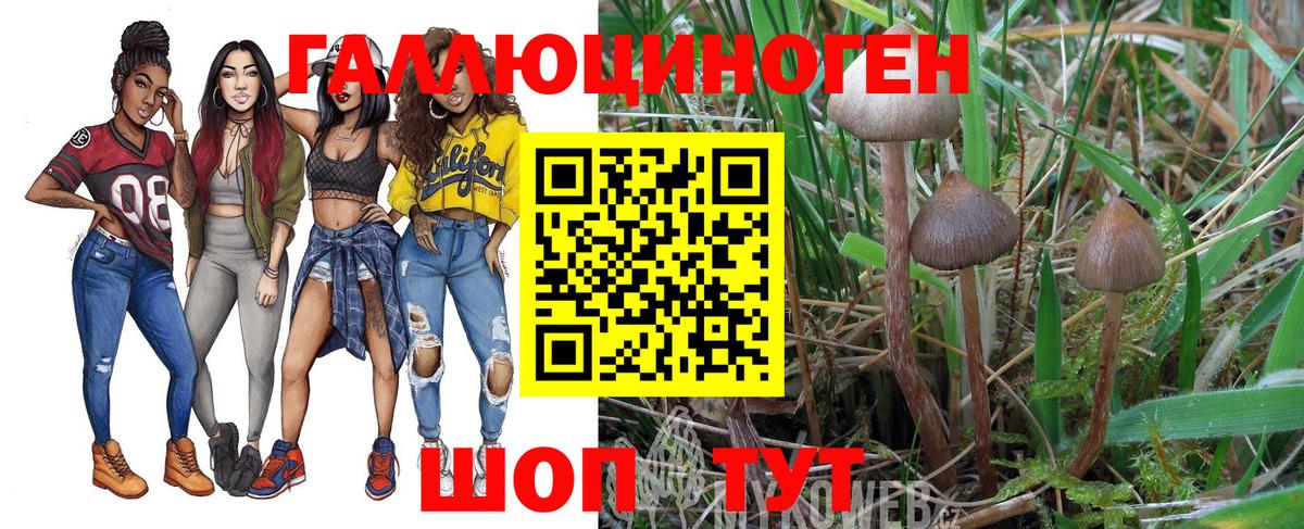 Галлюциногенные грибы мухоморы Зеленодольск