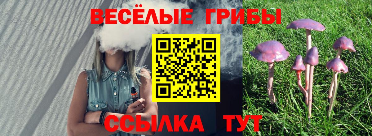 Зеленодольск  Псилоцибиновые грибы MAGIC MUSHROOMS  Вход с VPN 
